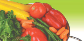 El plato del bien comer