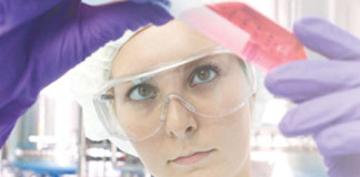 Cómo crece y se desarrolla el cáncer