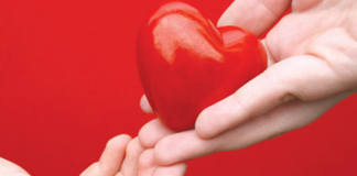 ¿Qué tipo de trasplantes existen?