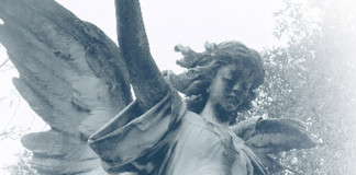 La trascendencia del ser humano