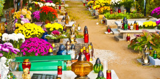 El camino de regreso a casa