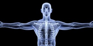 Mitos sobre tu cuerpo