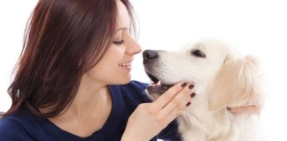 Los perros podrían detectar la diabetes