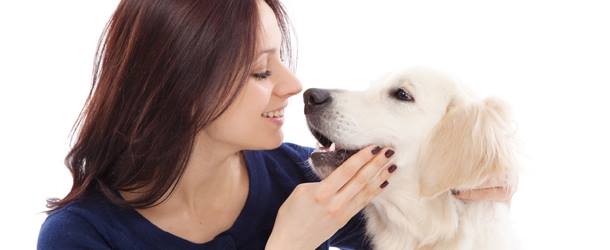 Los perros podrían detectar la diabetes