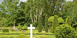 Conoce las ventajas de los Cementerios Ecológicos