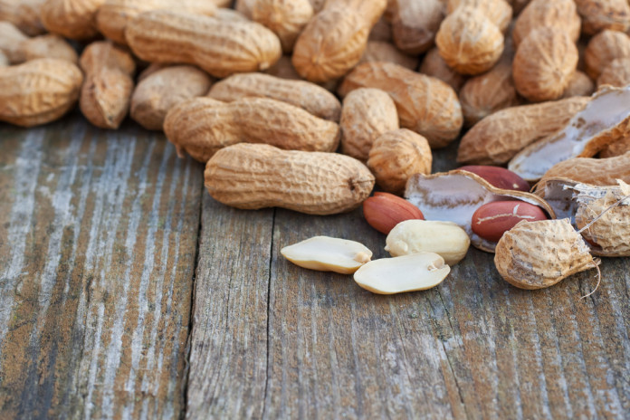 ¿Se puede prevenir la alergia al cacahuate?