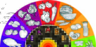 Las vitaminas que necesita nuestro cuerpo