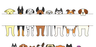 Los 10 beneficios de tener perro