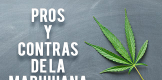 Pros y contras de la marihuana
