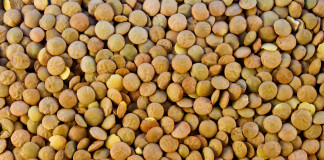 Propiedades y beneficios de las lentejas