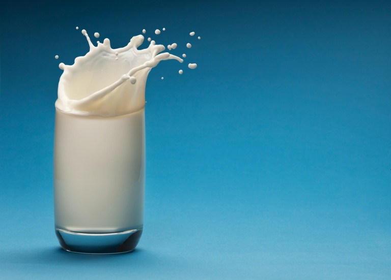 Consumo de leche: ventajas y desventajas