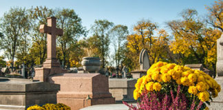 Funerales Ecológicos: Una opción responsable con el medio ambiente