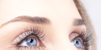 ¿Cuál es la función de las pestañas y las cejas?