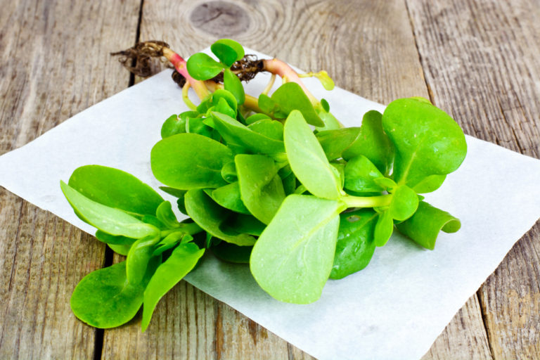 25 beneficios de las verdolagas