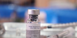 Día Mundial Contra la Rabia Día Mundial Contra la Rabia