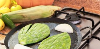 Los beneficios del nopal