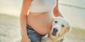 Las embarazadas con perros tienen bebés más sanos