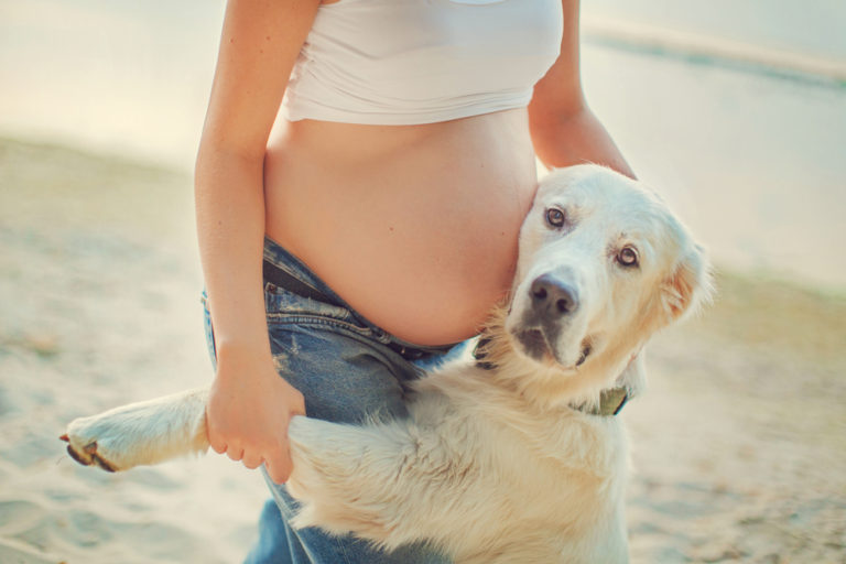 Las embarazadas con perros tienen bebés más sanos