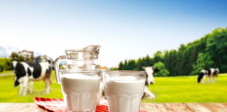 ¿Qué tan bueno es consumir leche de vaca?