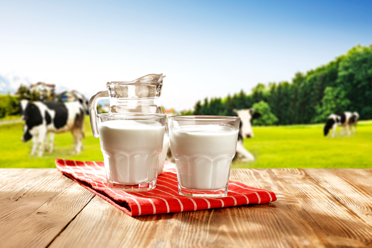 ¿Qué tan bueno es consumir leche de vaca?