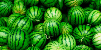 Beneficios de la sandía