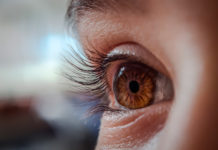 Dime la forma de tus ojos y te diré cómo ves