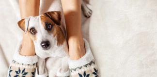 Según académico, tener “perrhijos” pueden ser señal de trastornos mentales