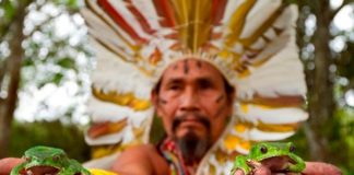 Tribu del Amazonas publica enciclopedia con sus conocimientos en medicina natural Tribu del Amazonas publica enciclopedia con sus conocimientos en medicina natural