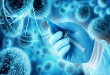 Células Madre: La Revolución en la Curación de Enfermedades